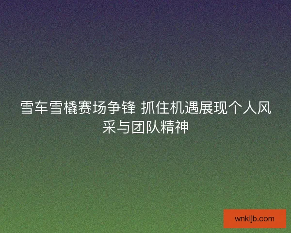 雪车雪橇赛场争锋 抓住机遇展现个人风采与团队精神